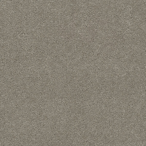 Dreamweaver Carpet Rock Solid II Soft Leather Carpet 4355_861
