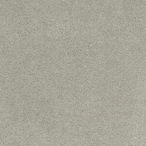 Dreamweaver Carpet Rock Solid II Stucco Carpet 4355_905