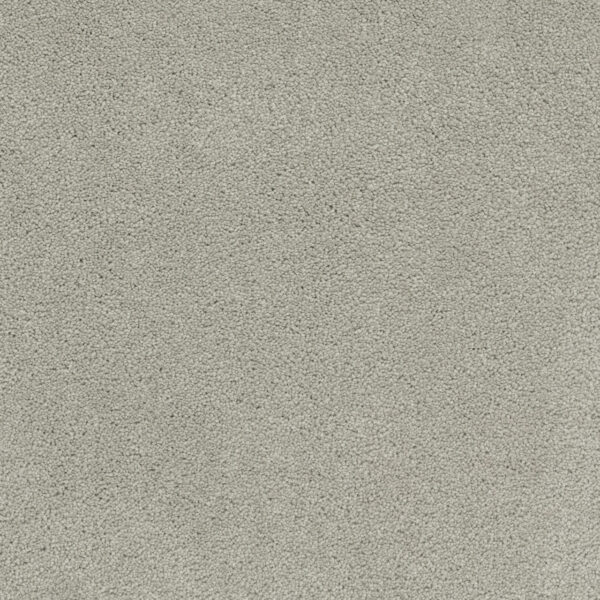Dreamweaver Carpet Rock Solid III Stucco Carpet 4365_905