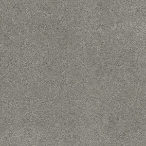 Dreamweaver Carpet Rock Solid I Chrome Carpet 4345_927