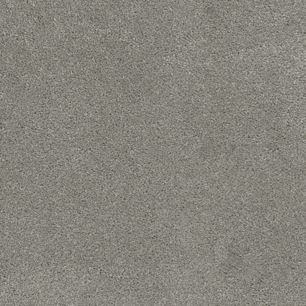 Dreamweaver Carpet Rock Solid I Chrome Carpet 4345_927