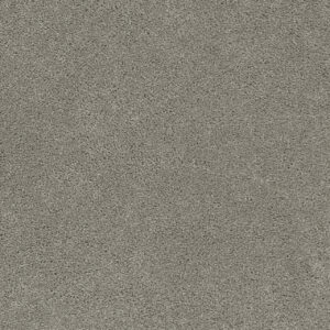 Dreamweaver Carpet Rock Solid I Ash Carpet 4345_945