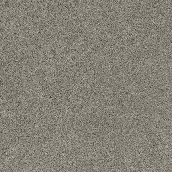 Dreamweaver Carpet Rock Solid III Ash Carpet 4365_945