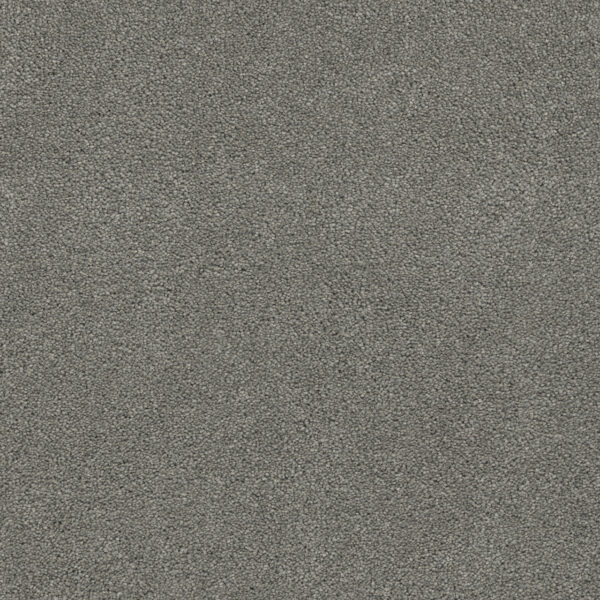 Dreamweaver Carpet Rock Solid II Vintage Pewter Carpet 4355_957