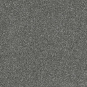 Dreamweaver Carpet Rock Solid I Armor Carpet 4345_968