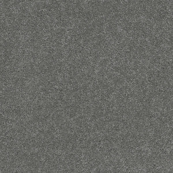 Dreamweaver Carpet Rock Solid I Armor Carpet 4345_968