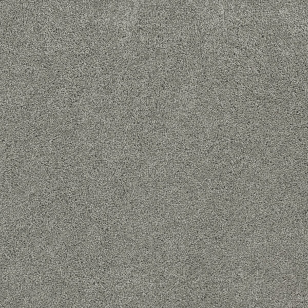 Dreamweaver Carpet Rock Solid I Shamrock Carpet 4345_973