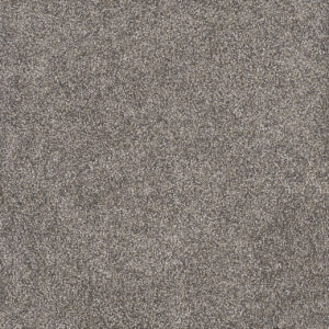 Dreamweaver Carpet Rustic Retreat I Dried Sage Carpet 4440_4112