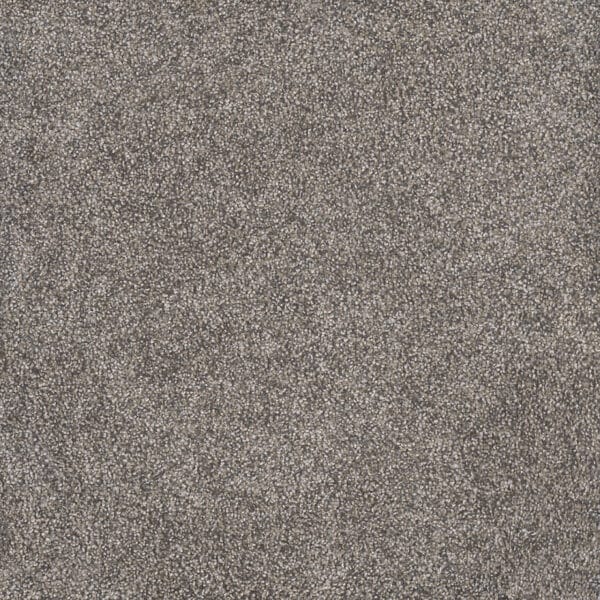 Dreamweaver Carpet Rustic Retreat II Dried Sage Carpet 4455_4112