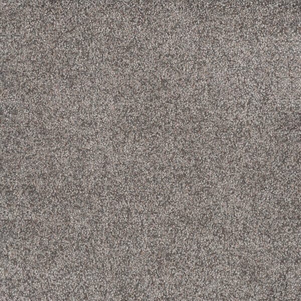 Dreamweaver Carpet Rustic Retreat II Songbird Carpet 4455_4120