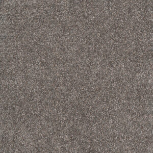 Dreamweaver Carpet Rustic Retreat I Tuscanna Carpet 4440_4123