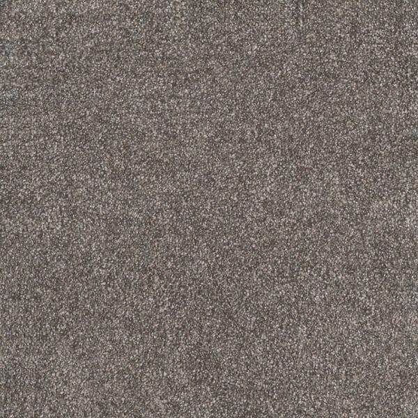 Dreamweaver Carpet Rustic Retreat I Tuscanna Carpet 4440_4123