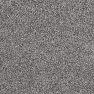 Dreamweaver Carpet Rustic Retreat I Blueberry Field Carpet 4440_4125