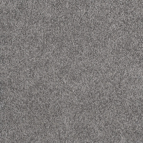 Dreamweaver Carpet Rustic Retreat I Blueberry Field Carpet 4440_4125