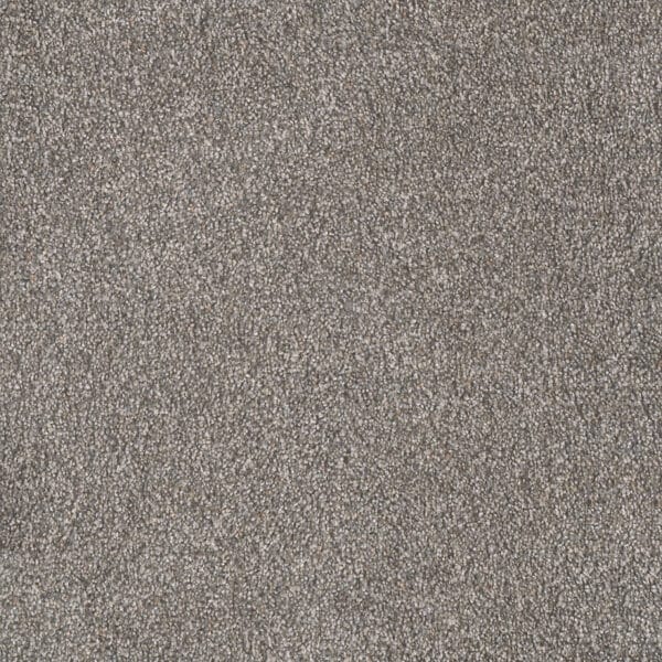 Dreamweaver Carpet Rustic Retreat I Laurel Carpet 4440_4134
