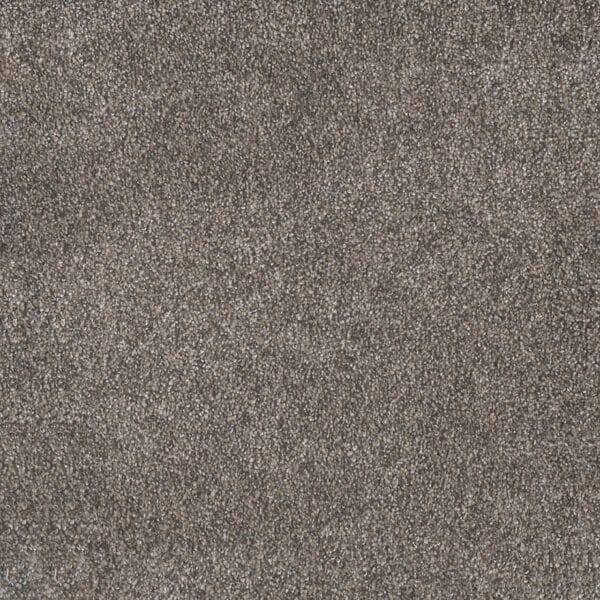 Dreamweaver Carpet Rustic Retreat I High Sierra Carpet 4440_4140
