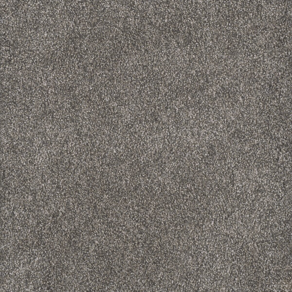 Dreamweaver Carpet Rustic Retreat II Cloudy Coast Carpet 4455_5026