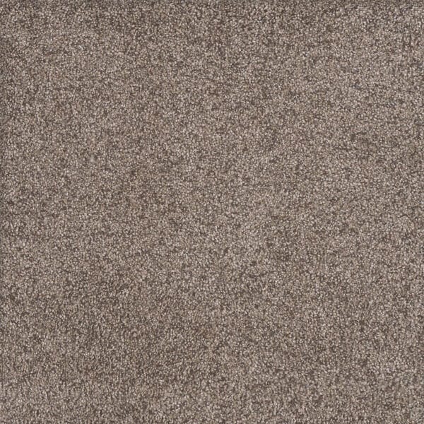 Dreamweaver Carpet Rustic Retreat II Clay Pot Carpet 4455_5032