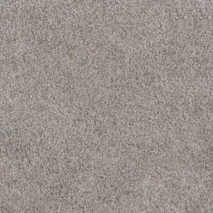 Dreamweaver Carpet Rustic Retreat I Sweet Magnolia Carpet 4440_5050
