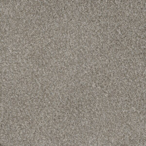 Dreamweaver Carpet Mill Creek II Crystal Pearl Carpet 4740_2019