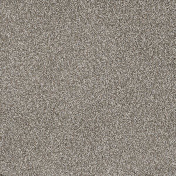 Dreamweaver Carpet Mill Creek II Crystal Pearl Carpet 4740_2019