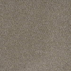 Dreamweaver Carpet Mill Creek II Polished Pebble Carpet 4740_2023