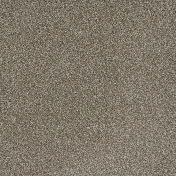 Dreamweaver Carpet Mill Creek II Polished Pebble Carpet 4740_2023