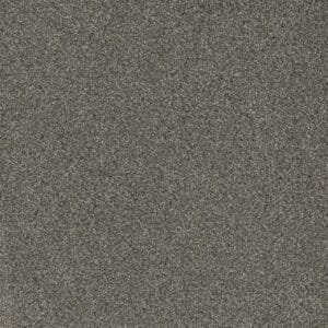 Dreamweaver Carpet Mill Creek II Rain Shadow Carpet 4740_2027