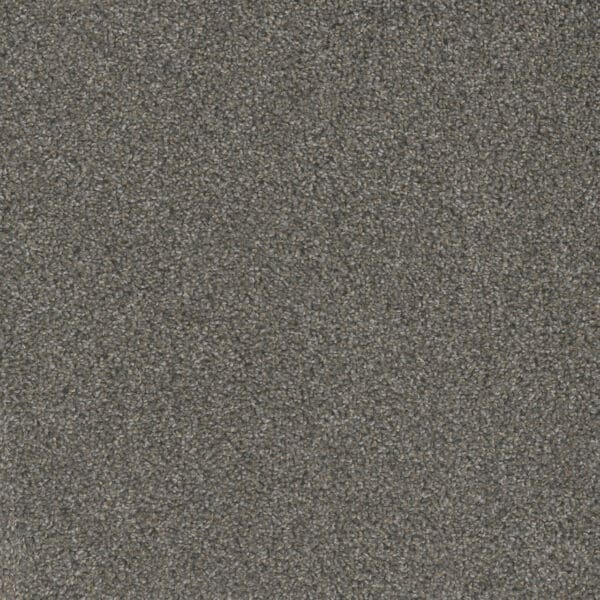 Dreamweaver Carpet Mill Creek II Rain Shadow Carpet 4740_2027