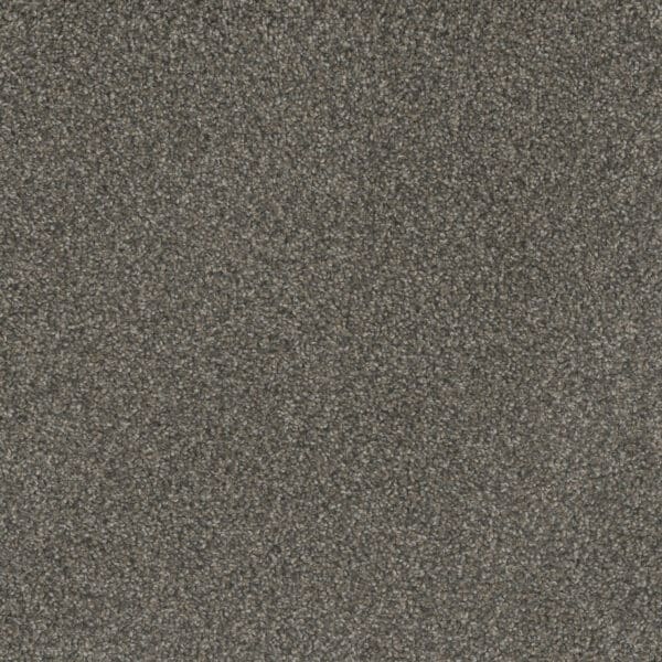 Dreamweaver Carpet Mill Creek II Warm Pine Carpet 4740_2062