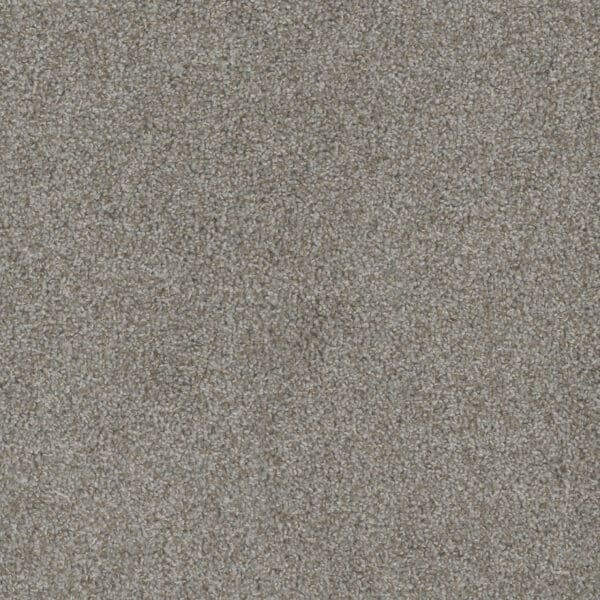 Dreamweaver Carpet Mill Creek II Off Shore Carpet 4740_4017