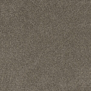 Dreamweaver Carpet Mill Creek II Lucky Penny Carpet 4740_4026