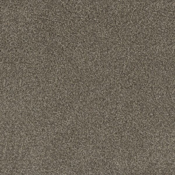 Dreamweaver Carpet Mill Creek II Lucky Penny Carpet 4740_4026