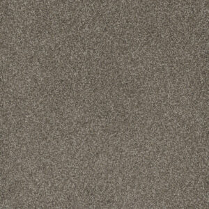 Dreamweaver Carpet Mill Creek II Matrix Carpet 4740_4029