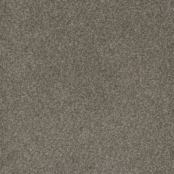 Dreamweaver Carpet Mill Creek II Matrix Carpet 4740_4029