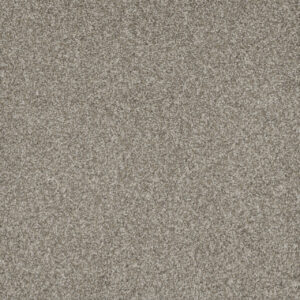 Dreamweaver Carpet Mill Creek II Baby's Breath Carpet 4740_4035