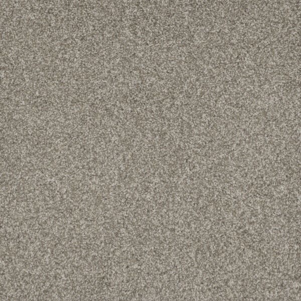 Dreamweaver Carpet Mill Creek II Baby's Breath Carpet 4740_4035