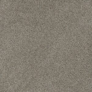 Dreamweaver Carpet Mill Creek II Palmdale Carpet 4740_4110
