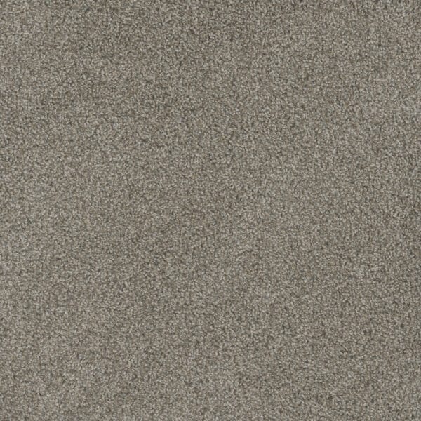 Dreamweaver Carpet Mill Creek II Palmdale Carpet 4740_4110