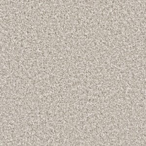 Dreamweaver Carpet Can'T Miss Porcelain Carpet 4748_486