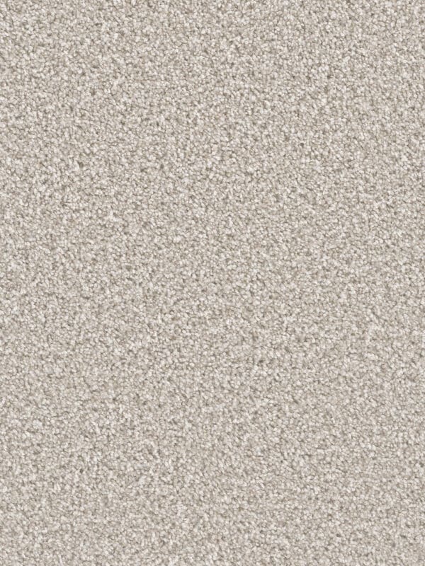 Dreamweaver Carpet Can'T Miss Porcelain Carpet 4748_486
