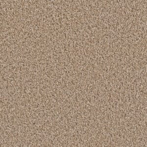 Dreamweaver Carpet Can'T Miss Straw Carpet 4748_551