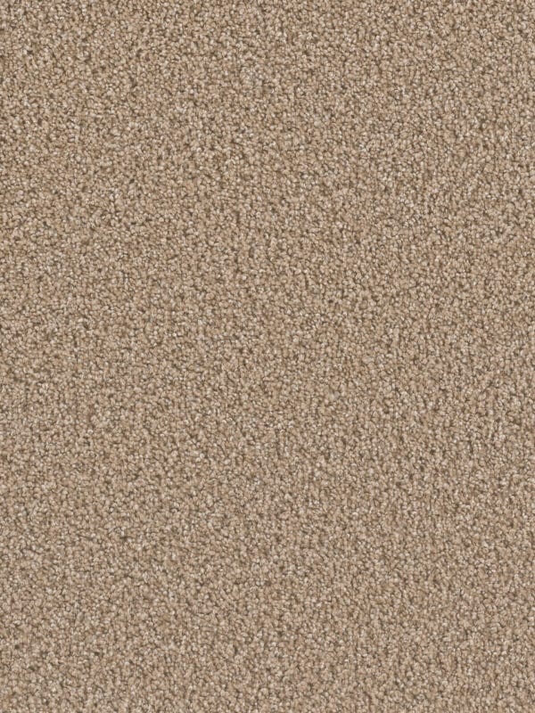 Dreamweaver Carpet Can'T Miss Straw Carpet 4748_551