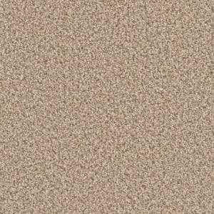 Dreamweaver Carpet Can'T Miss Oxford Carpet 4748_720