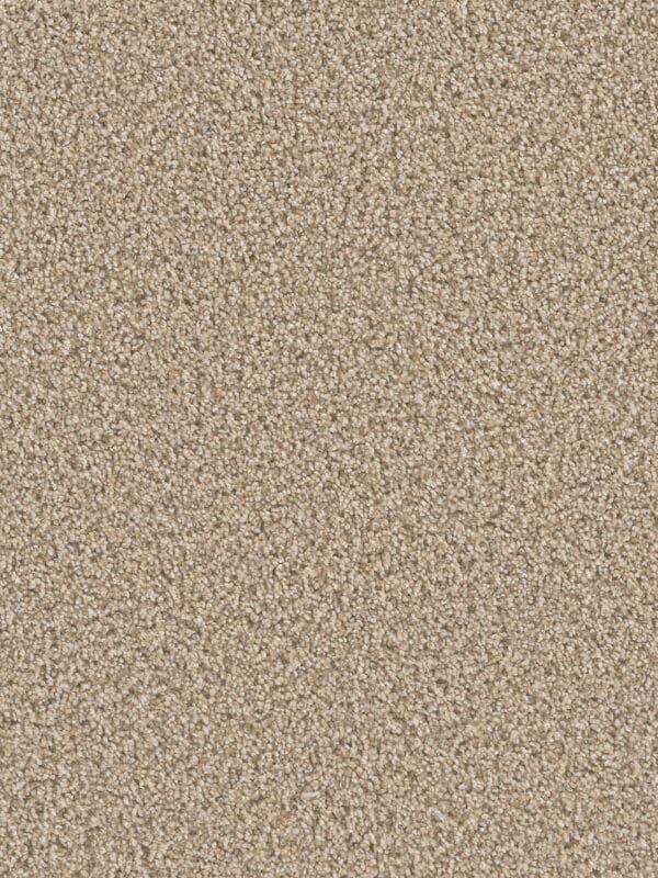 Dreamweaver Carpet Can'T Miss Oxford Carpet 4748_720