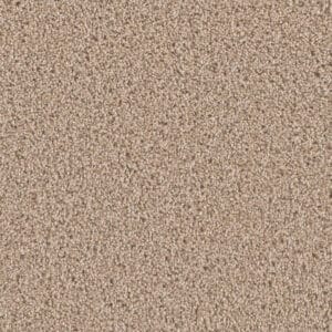 Dreamweaver Carpet Can'T Miss Ginger Carpet 4748_726