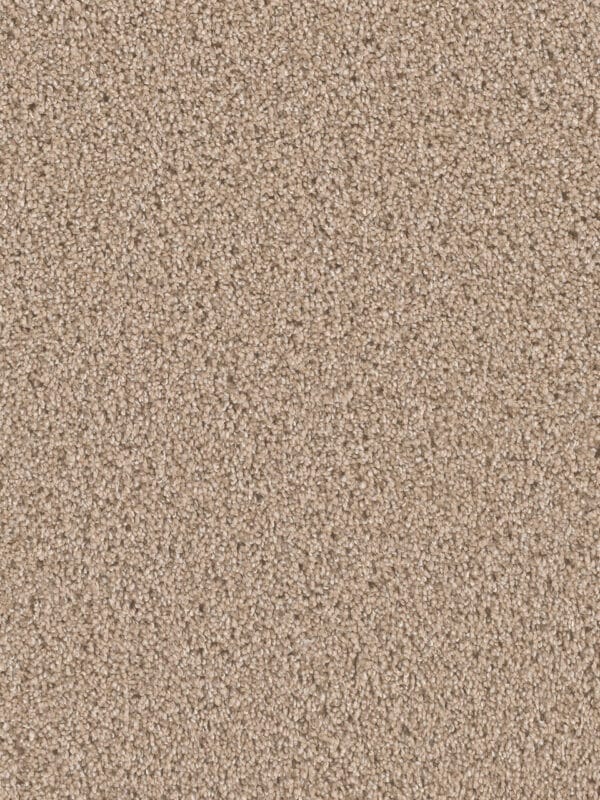 Dreamweaver Carpet Can'T Miss Ginger Carpet 4748_726