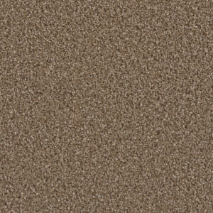 Dreamweaver Carpet Can'T Miss Peppercorn Carpet 4748_753