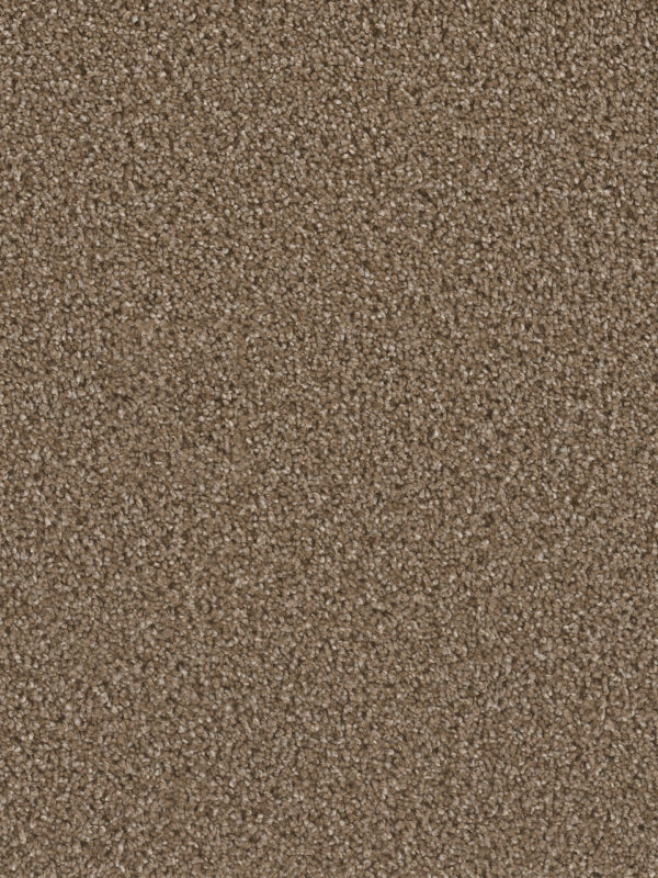 Dreamweaver Carpet Can'T Miss Peppercorn Carpet 4748_753