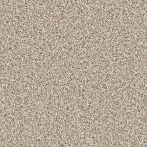 Dreamweaver Carpet Can'T Miss Seashells Carpet 4748_758